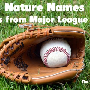 Nature Names & Names from Major League Baseball