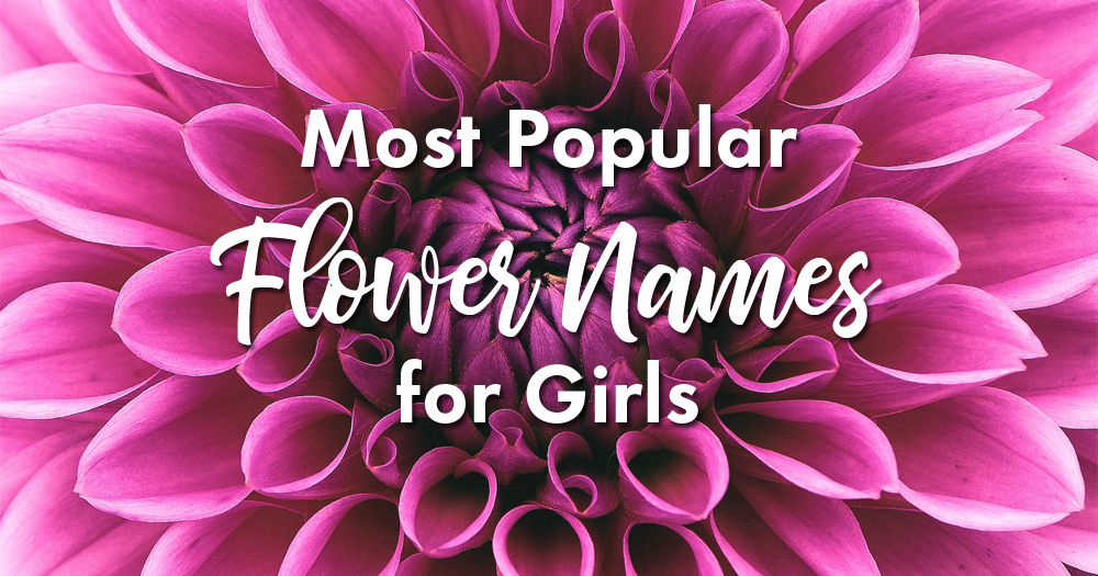 Flower behind text: Most Popular Flower Names for Girls