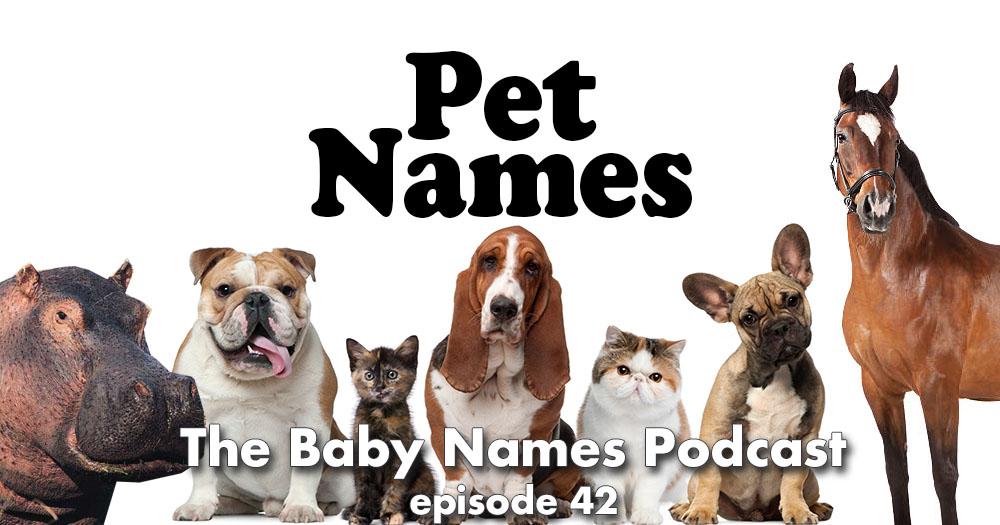 Line of dogs and cats, a hippo and a horse - PET NAMES