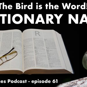 Dictionary Names on the Baby Names Podcast