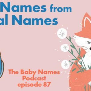 Baby Names from Animal Names - illustration of owl and fox
