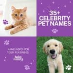 celebrity Pet names