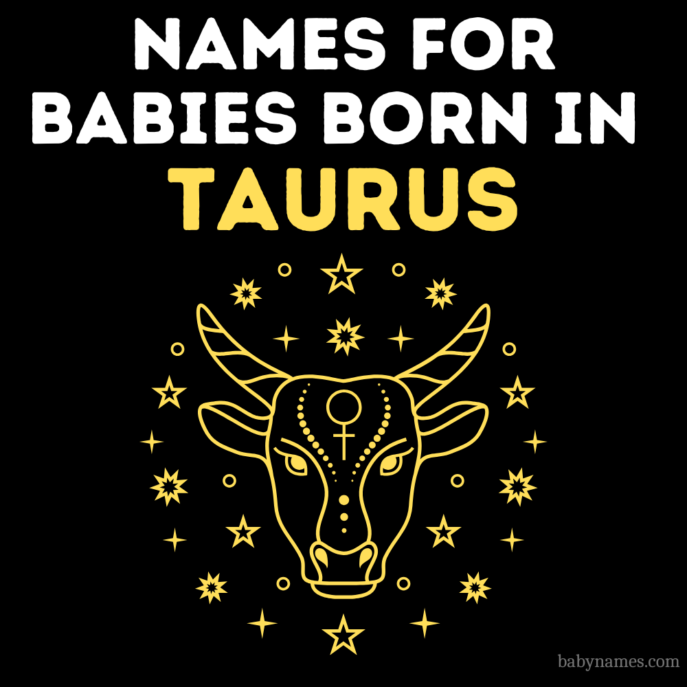 Names for Babies Born in Taurus with an illustration of a bull