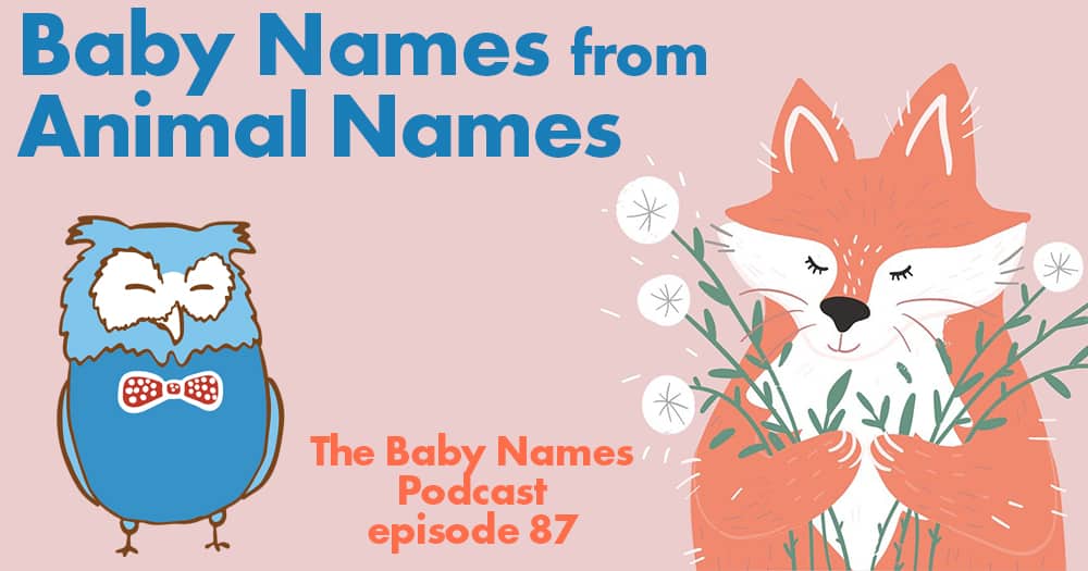 Baby Names from Animal Names - illustration of owl and fox
